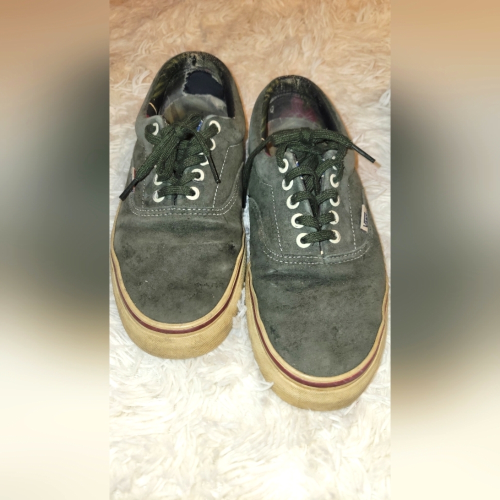 Size 8 Vans - bought in 2014 - Green Suede Pro-Skateboard Pro-Classic Botanical